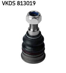 SKF VKDS 813019